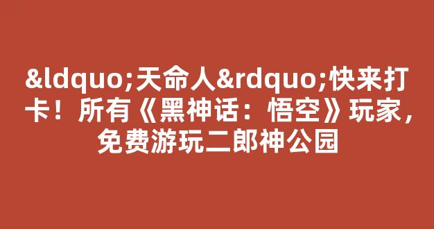 “天命人”快来打卡！所有《黑神话：悟空》玩家，免费游玩二郎神公园