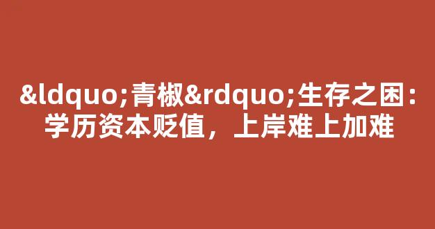 “青椒”生存之困：学历资本贬值，上岸难上加难