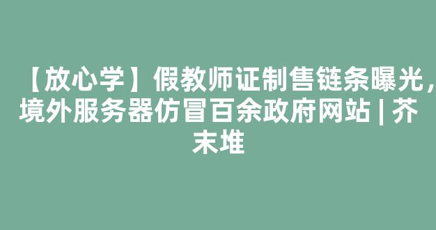 【放心学】假教师证制售链条曝光，境外服务器仿冒百余政府网站 | 芥末堆