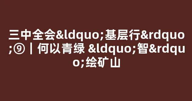 三中全会“基层行”⑨｜何以青绿 “智”绘矿山