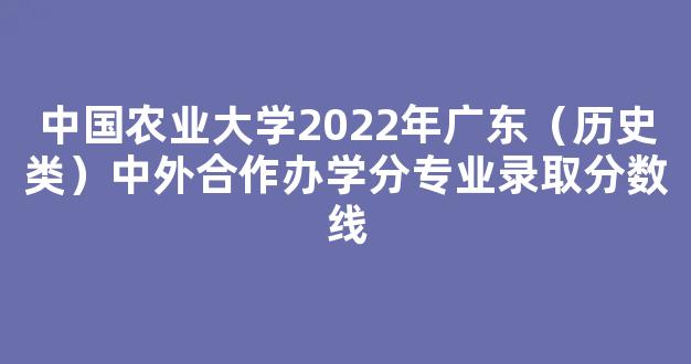 中国农业大学2022年广东（历史类）中外合作办学分专业录取分数线