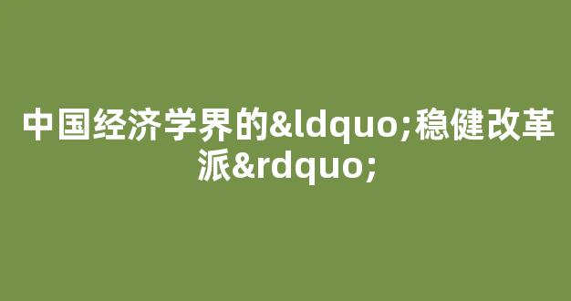 中国经济学界的“稳健改革派”