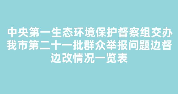 <b>中央第一生态环境保护督察组交办我市第二十一批群众举报问题边督边改情况一览表</b>