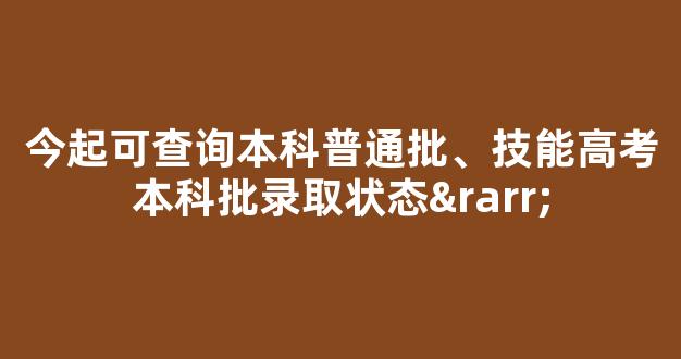 <b>今起可查询本科普通批、技能高考本科批录取状态→</b>