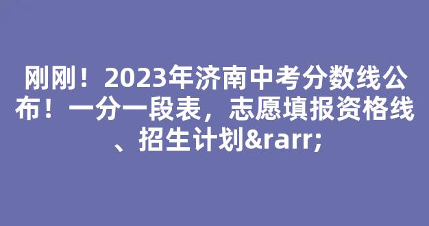 刚刚！2023年济南中考分数线公布！一分一段表，志愿填报资格线、招生计划→