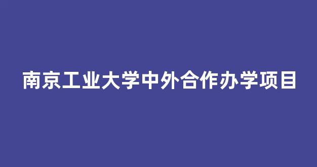 南京工业大学中外合作办学项目