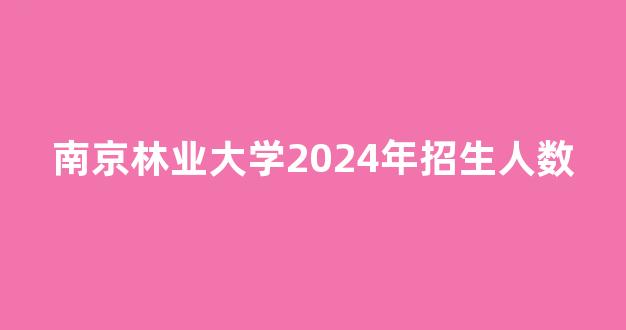 南京林业大学2024年招生人数