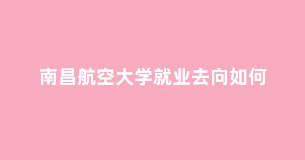 南昌航空大学就业去向如何