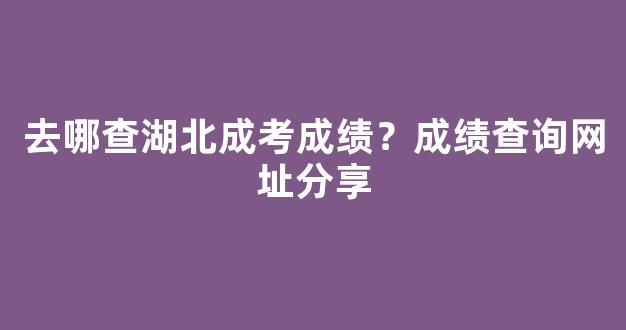 去哪查湖北成考成绩？成绩查询网址分享