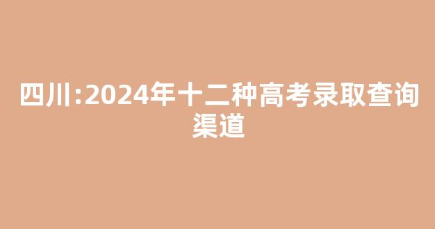 四川:2024年十二种高考录取查询渠道