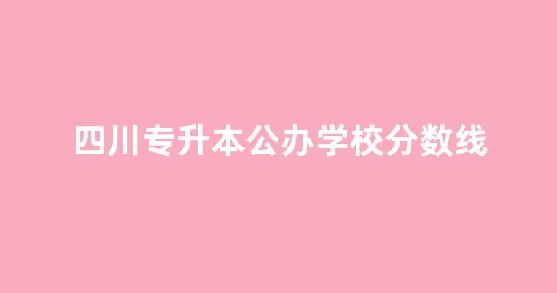 四川专升本公办学校分数线