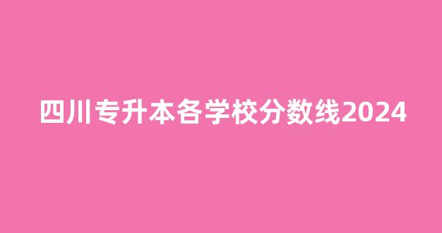 四川专升本各学校分数线2024