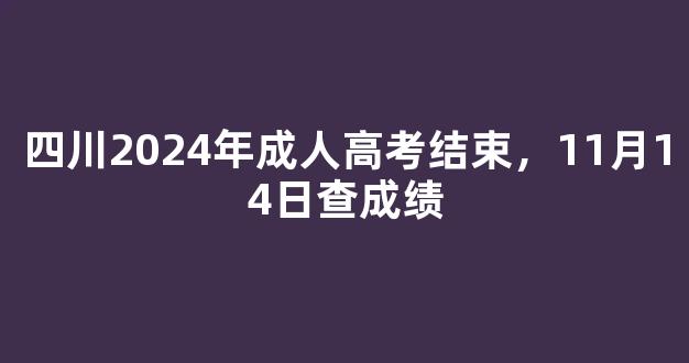 四川2024年成人高考结束，11月14日查成绩