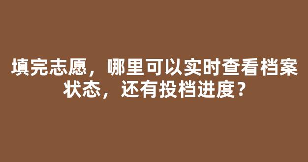 填完志愿，哪里可以实时查看档案状态，还有投档进度？