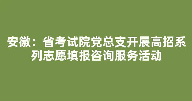 <b>安徽：省考试院党总支开展高招系列志愿填报咨询服务活动</b>