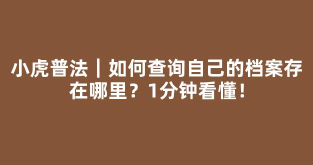 小虎普法｜如何查询自己的档案存在哪里？1分钟看懂！