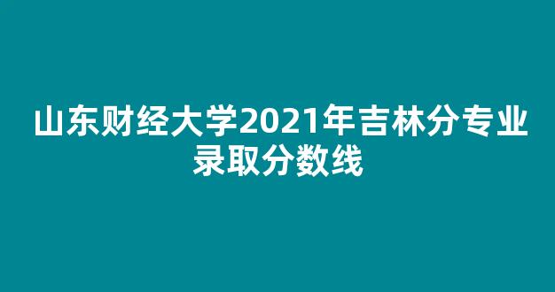 山东财经大学2021年吉林分专业录取分数线