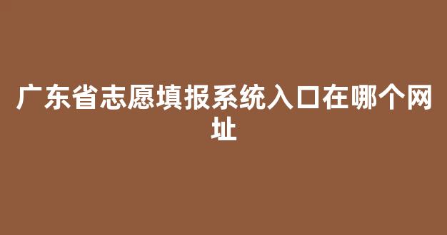 广东省志愿填报系统入口在哪个网址