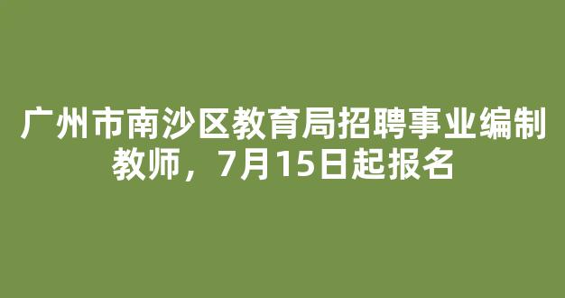 广州市南沙区教育局招聘事业编制教师，7月15日起报名