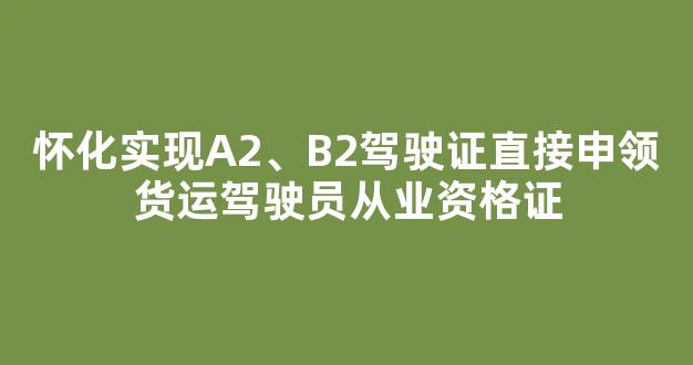 怀化实现A2、B2驾驶证直接申领货运驾驶员从业资格证