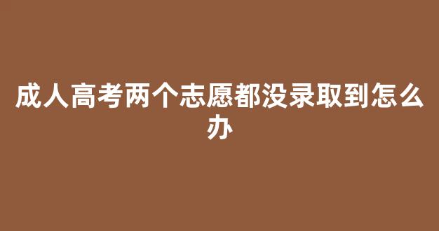 <b>成人高考两个志愿都没录取到怎么办</b>