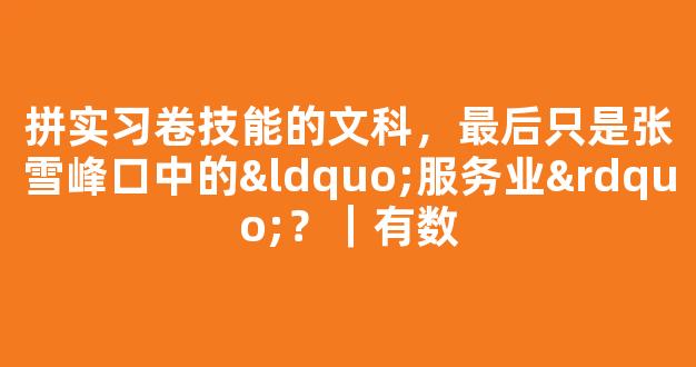 拼实习卷技能的文科，最后只是张雪峰口中的“服务业”？｜有数