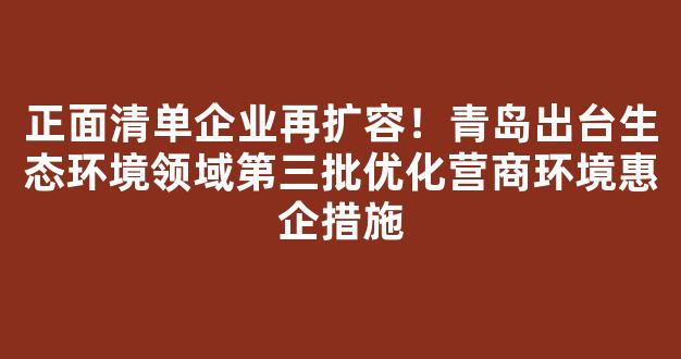 正面清单企业再扩容！青岛出台生态环境领域第三批优化营商环境惠企措施