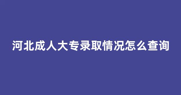 河北成人大专录取情况怎么查询