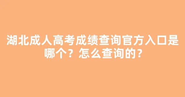 湖北成人高考成绩查询官方入口是哪个？怎么查询的？