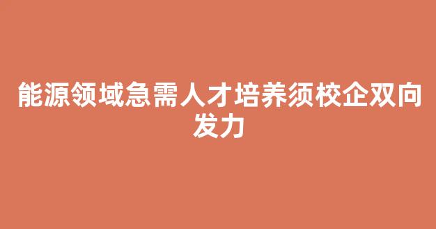 能源领域急需人才培养须校企双向发力