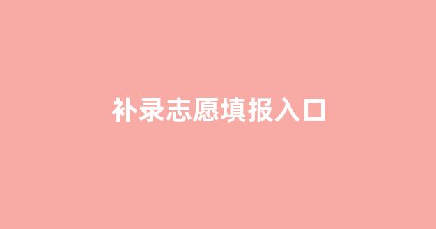 补录志愿填报入口