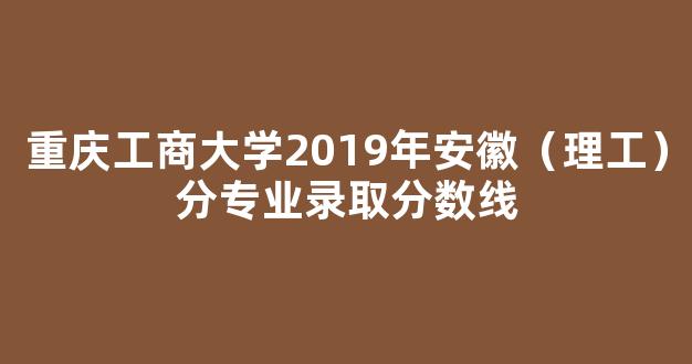 重庆工商大学2019年安徽（理工）分专业录取分数线