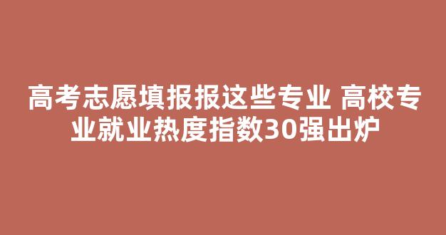 高考志愿填报报这些专业 高校专业就业热度指数30强出炉