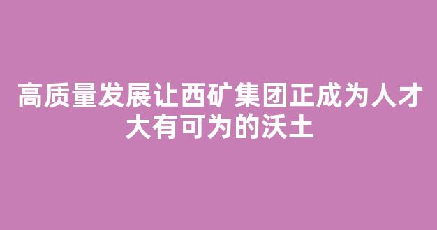 高质量发展让西矿集团正成为人才大有可为的沃土