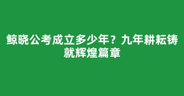 鲸晓公考成立多少年？九年耕耘铸就辉煌篇章