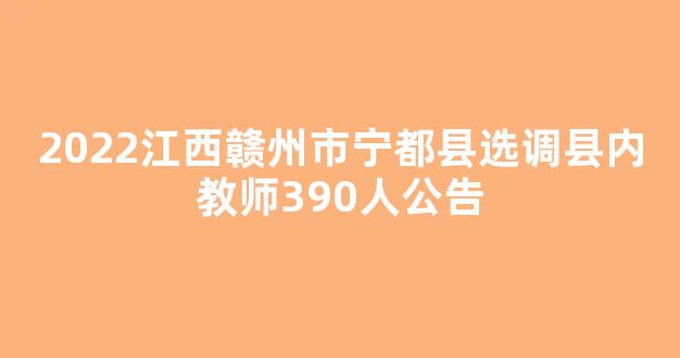 2022江西赣州市宁都县选调县内教师390人公告