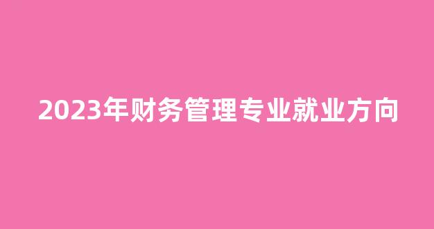 2023年财务管理专业就业方向