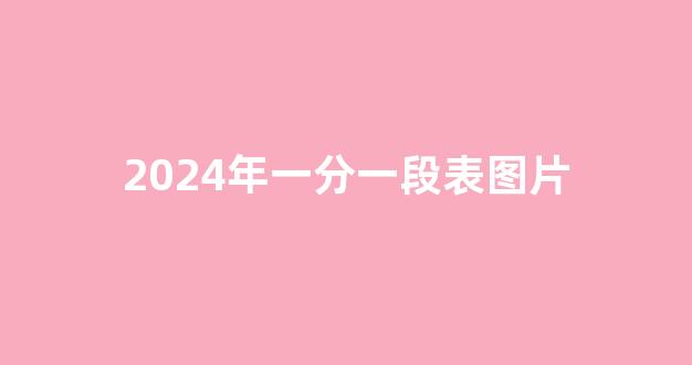 2024年一分一段表图片