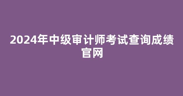 2024年中级审计师考试查询成绩官网