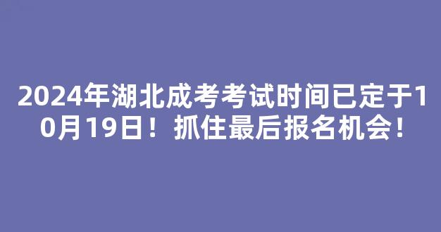 2024年湖北成考考试时间已定于10月19日！抓住最后报名机会！