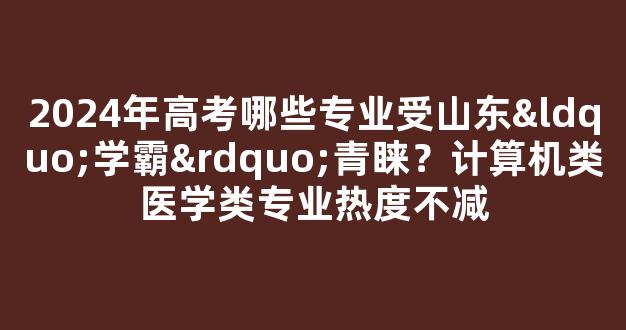 <b>2024年高考哪些专业受山东“学霸”青睐？计算机类医学类专业热度不减</b>