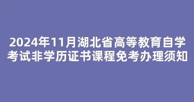 <b>2024年11月湖北省高等教育自学考试非学历证书课程免考办理须知</b>