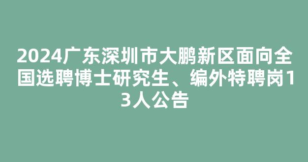 2024广东深圳市大鹏新区面向全国选聘博士研究生、编外特聘岗13人公告